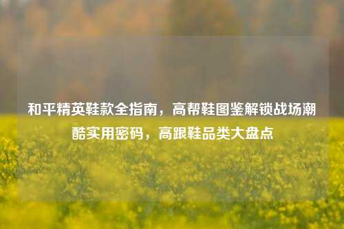 和平精英鞋款全指南,高帮鞋图鉴解锁战场潮酷实用密码,高跟鞋品类大盘点