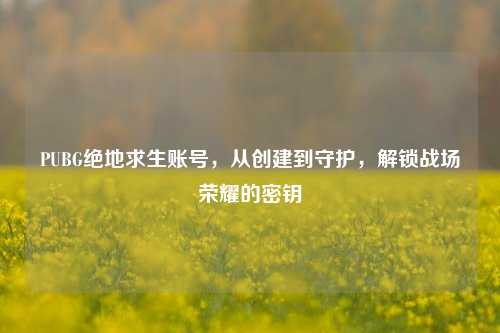 PUBG绝地求生账号,从创建到守护,解锁战场荣耀的密钥