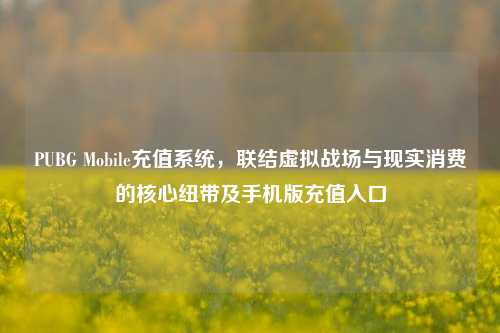 PUBG Mobile充值系统，联结虚拟战场与现实消费的核心纽带及手机版充值入口