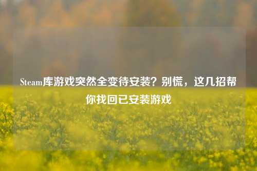 Steam库游戏突然全变待安装?别慌,这几招帮你找回已安装游戏