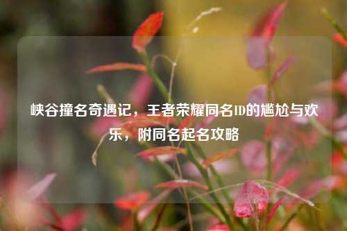 峡谷撞名奇遇记，王者荣耀同名ID的尴尬与欢乐，附同名起名攻略