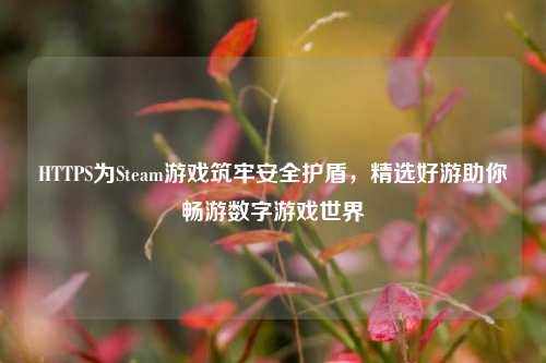 HTTPS为Steam游戏筑牢安全护盾，精选好游助你畅游数字游戏世界