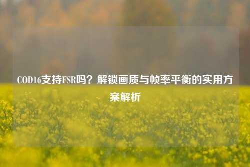 COD16支持FSR吗？解锁画质与帧率平衡的实用方案解析