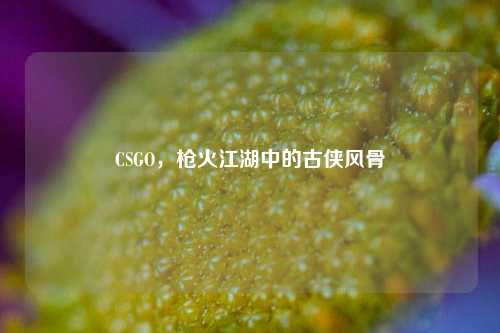 CSGO,枪火江湖中的古侠风骨