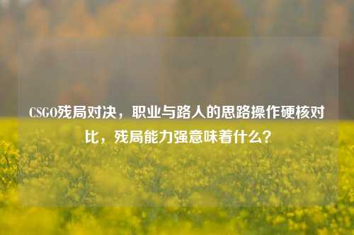 CSGO残局对决,职业与路人的思路操作硬核对比,残局能力强意味着什么?