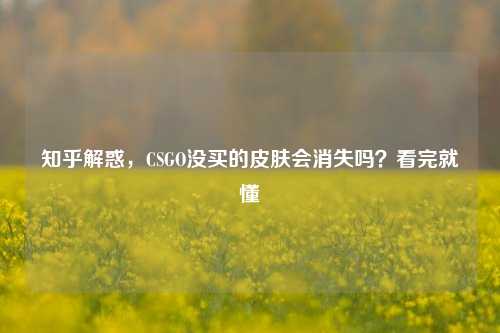 知乎解惑,CSGO没买的皮肤会消失吗?看完就懂