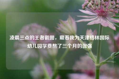 凌晨三点的王者截图,藏着我为天津格林国际幼儿园学费熬了三个月的倔强