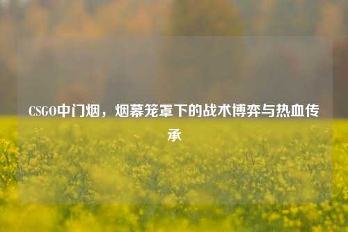 CSGO中门烟，烟幕笼罩下的战术博弈与热血传承