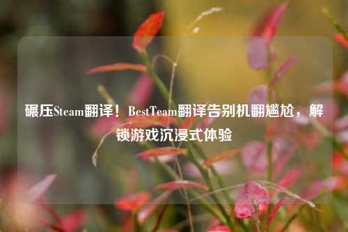 碾压Steam翻译！BestTeam翻译告别机翻尴尬，解锁游戏沉浸式体验