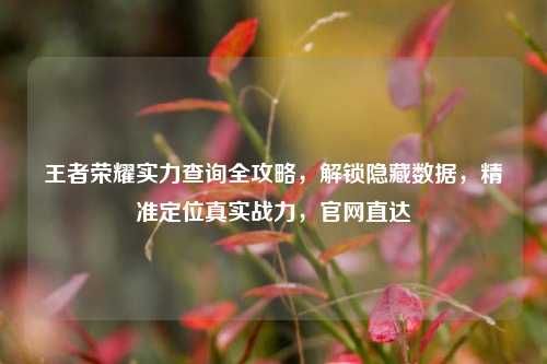 王者荣耀实力查询全攻略，解锁隐藏数据，精准定位真实战力，官网直达