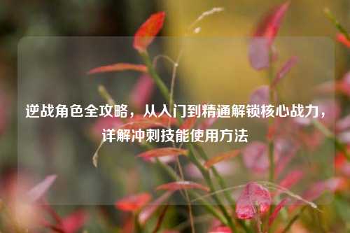 逆战角色全攻略,从入门到精通解锁核心战力,详解冲刺技能使用方法