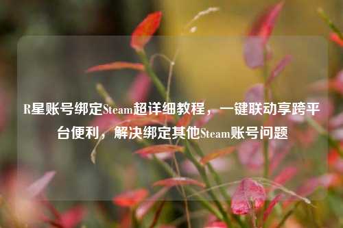 R星账号绑定Steam超详细教程，一键联动享跨平台便利，解决绑定其他Steam账号问题