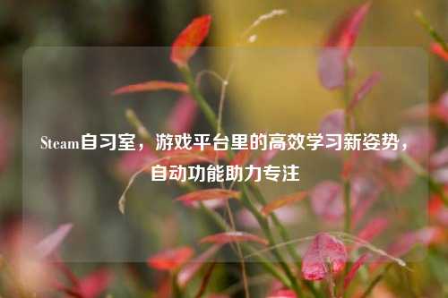 Steam自习室,游戏平台里的高效学习新姿势,自动功能助力专注