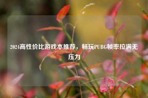 2024高性价比游戏本推荐，畅玩PUBG帧率拉满无压力