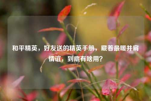 和平精英，好友送的精英手册，藏着最暖并肩情谊，到底有啥用？