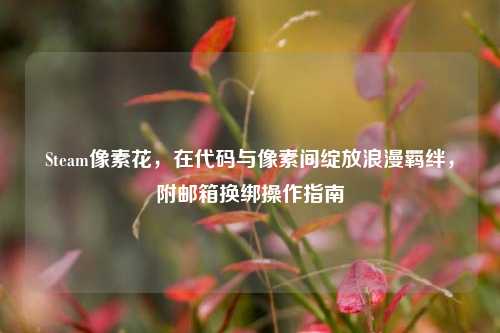 Steam像素花,在代码与像素间绽放浪漫羁绊,附邮箱换绑操作指南