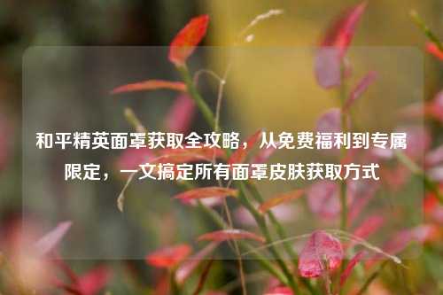 和平精英面罩获取全攻略，从免费福利到专属限定，一文搞定所有面罩皮肤获取方式