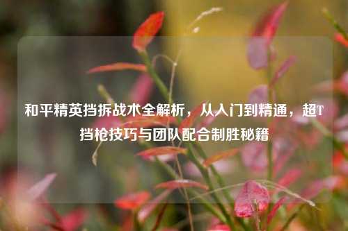 和平精英挡拆战术全解析,从入门到精通,超T挡枪技巧与团队配合制胜秘籍