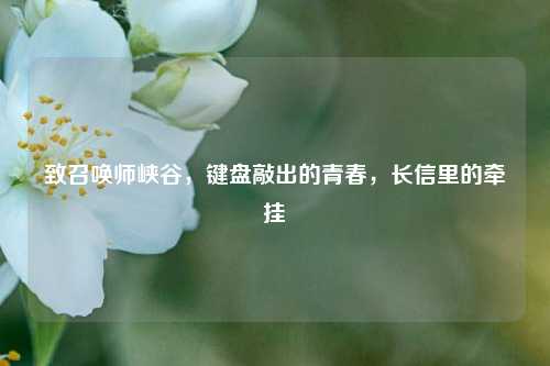 致召唤师峡谷，键盘敲出的青春，长信里的牵挂