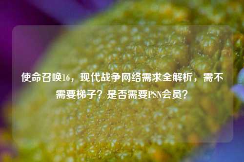 使命召唤16,现代战争网络需求全解析,需不需要梯子?是否需要PSN会员?
