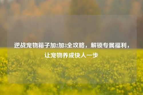 逆战宠物箱子加2加3全攻略，解锁专属福利，让宠物养成快人一步