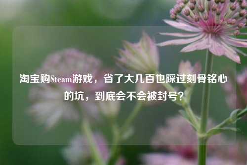 淘宝购Steam游戏，省了大几百也踩过刻骨铭心的坑，到底会不会被封号？