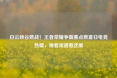 白云峡谷燃战!王者荣耀争霸赛点燃夏日电竞热情,观看渠道看这里