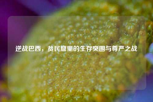 逆战巴西，贫民窟里的生存突围与尊严之战