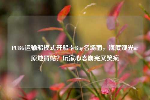 PUBG运输船模式开船卡Bug名场面，海底观光or原地罚站？玩家心态崩完又笑疯