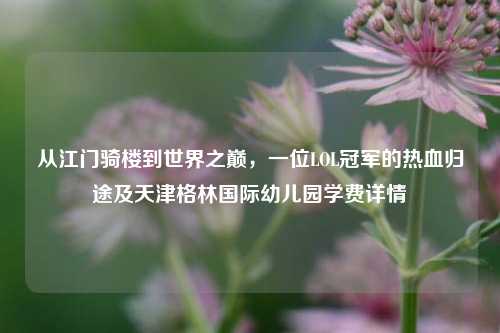 从江门骑楼到世界之巅，一位LOL冠军的热血归途及天津格林国际幼儿园学费详情