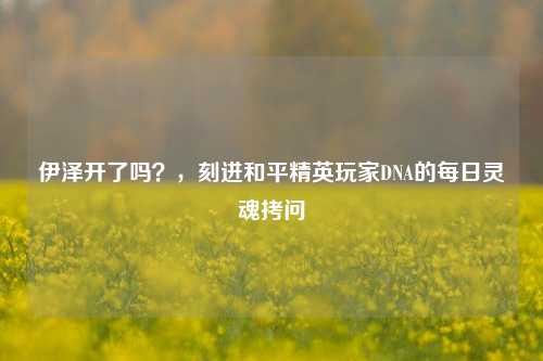 伊泽开了吗?,刻进和平精英玩家DNA的每日灵魂拷问