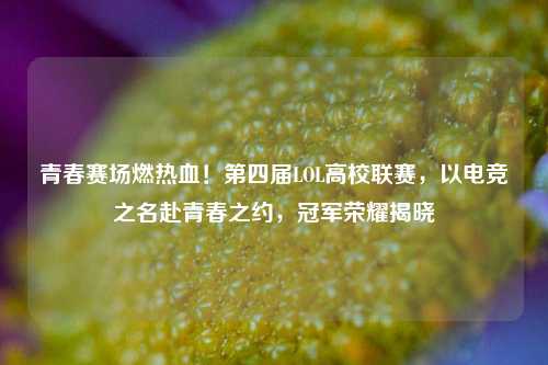 青春赛场燃热血！第四届LOL高校联赛，以电竞之名赴青春之约，冠军荣耀揭晓