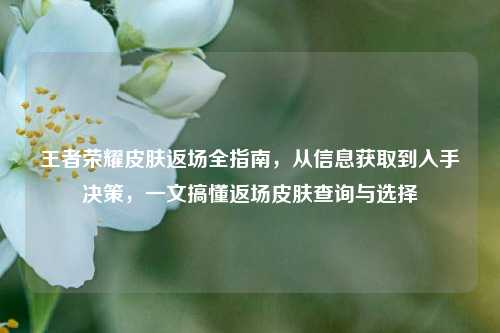 王者荣耀皮肤返场全指南，从信息获取到入手决策，一文搞懂返场皮肤查询与选择
