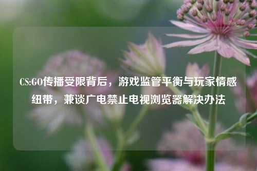 CS:GO传播受限背后,游戏监管平衡与玩家情感纽带,兼谈广电禁止电视浏览器解决办法