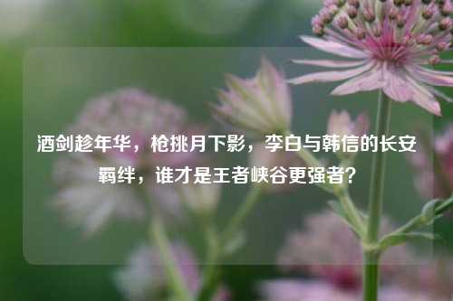 酒剑趁年华，枪挑月下影，李白与韩信的长安羁绊，谁才是王者峡谷更强者？