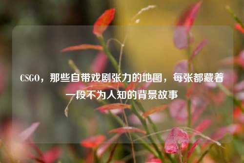 CSGO,那些自带戏剧张力的地图,每张都藏着一段不为人知的背景故事