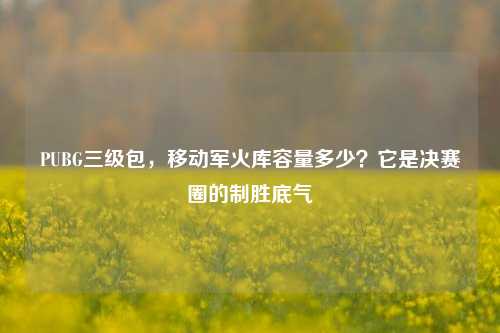 PUBG三级包,移动军火库容量多少?它是决赛圈的制胜底气
