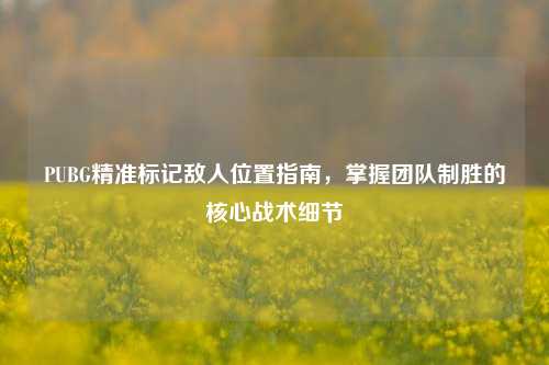 PUBG精准标记敌人位置指南，掌握团队制胜的核心战术细节