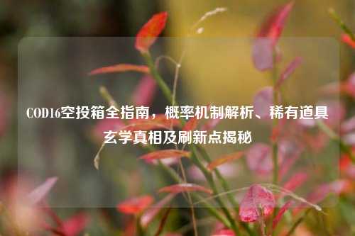 COD16空投箱全指南,概率机制解析、稀有道具玄学真相及刷新点揭秘