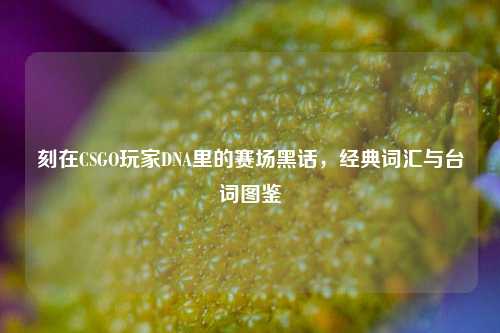刻在CSGO玩家DNA里的赛场黑话，经典词汇与台词图鉴
