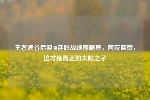 王者峡谷后羿30连胜战绩图刷屏，网友盛赞，这才是真正的太阳之子