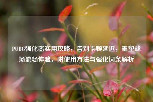 PUBG强化器实用攻略，告别卡顿延迟，重塑战场流畅体验，附使用方法与强化词条解析