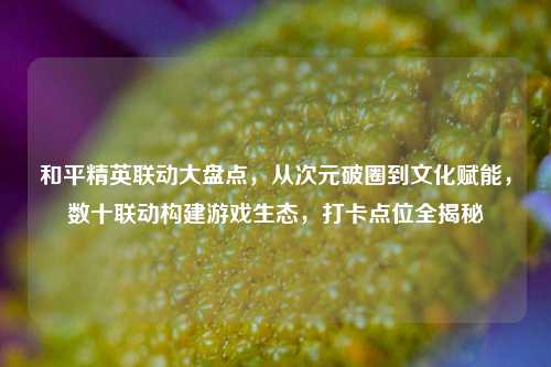 和平精英联动大盘点,从次元破圈到文化赋能,数十联动构建游戏生态,打卡点位全揭秘