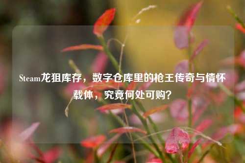 Steam龙狙库存，数字仓库里的枪王传奇与情怀载体，究竟何处可购？