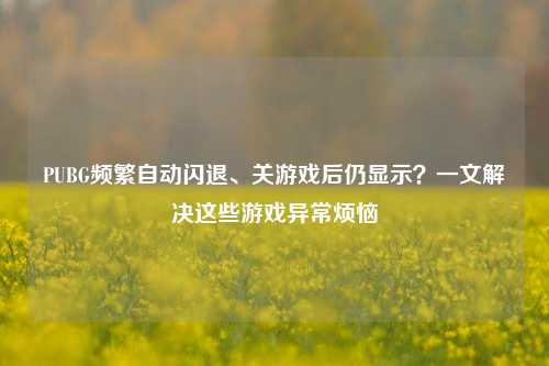PUBG频繁自动闪退、关游戏后仍显示?一文解决这些游戏异常烦恼