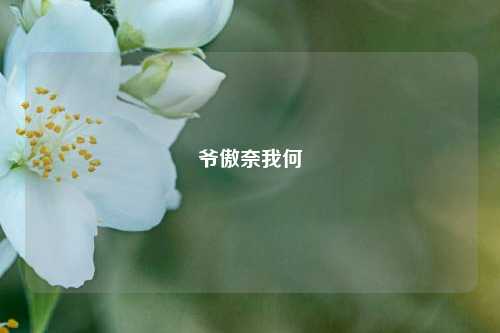 爷傲奈我何
