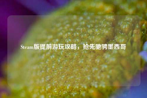 Steam版提前游玩攻略,抢先驰骋墨西哥