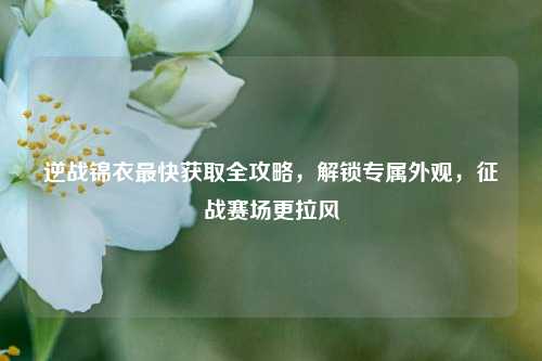 逆战锦衣最快获取全攻略，解锁专属外观，征战赛场更拉风