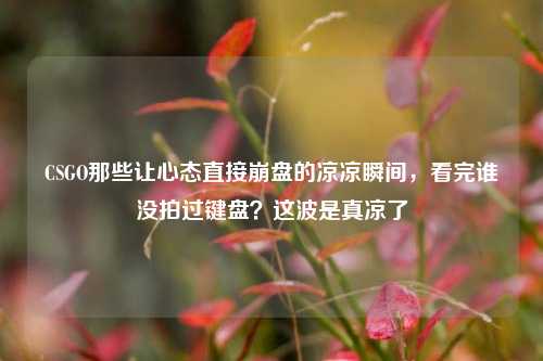 CSGO那些让心态直接崩盘的凉凉瞬间，看完谁没拍过键盘？这波是真凉了