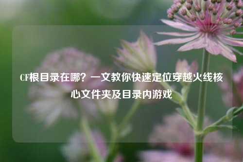 CF根目录在哪?一文教你快速定位穿越火线核心文件夹及目录内游戏